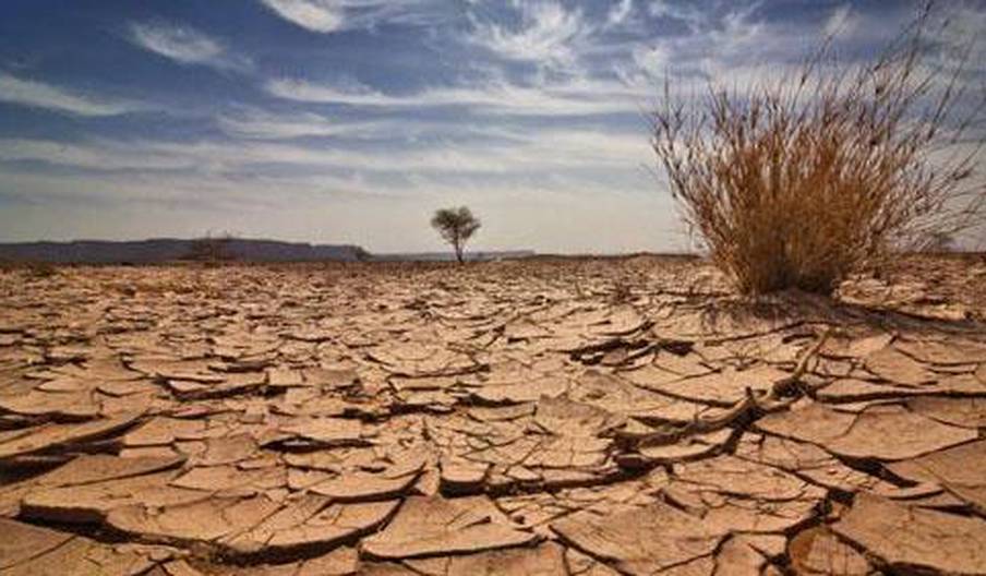 L’ONU à la rescousse du Malawi confronté à une grave sécheresse