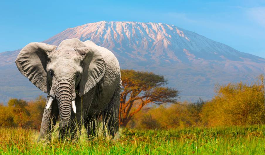 La Banque mondiale suspend le financement d’un projet touristique en Tanzanie