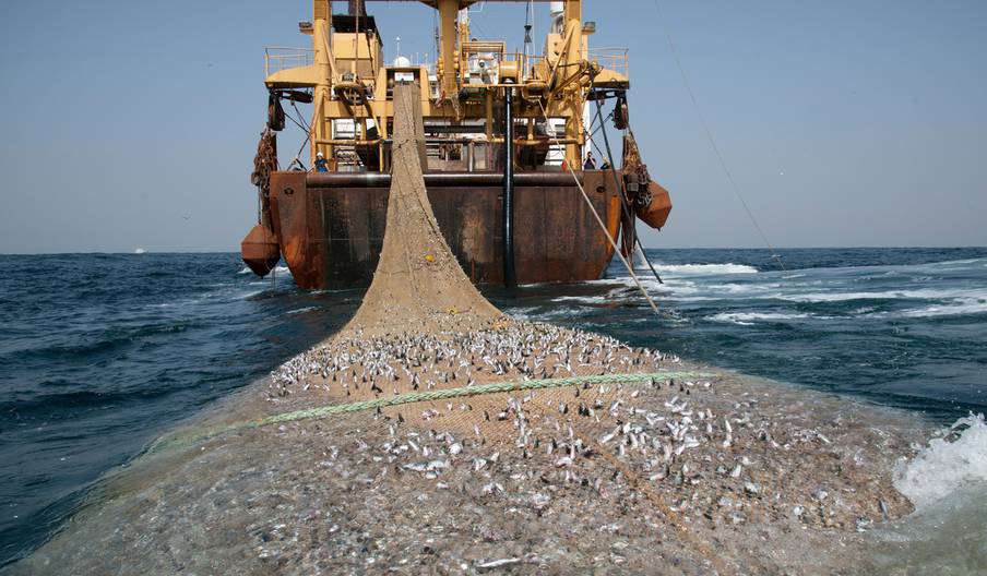 Les pays d’Afrique australe renforcent leurs capacités en matière de lutte contre la pêche illégale