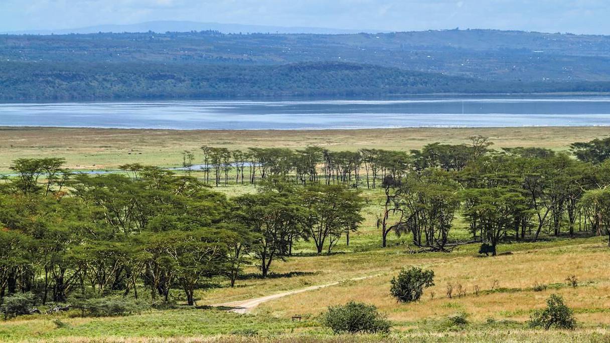 Le réseau de lacs kenyans dans le Grand Rift atteint des niveaux d'eau historiques.