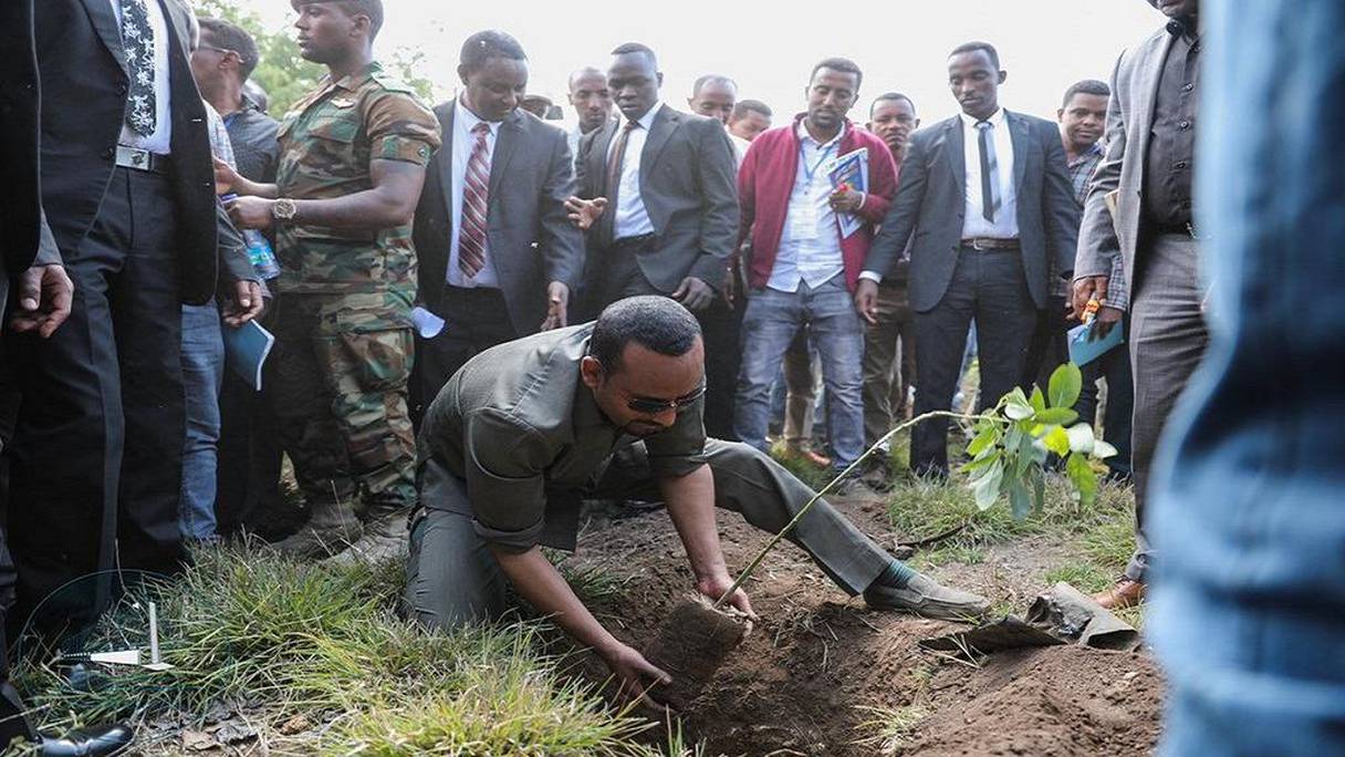 Le Premier ministre éthiopien Abiy Ahmed donnant le coup d'envoi du programme de plantation de 4 milliards d'arbres.