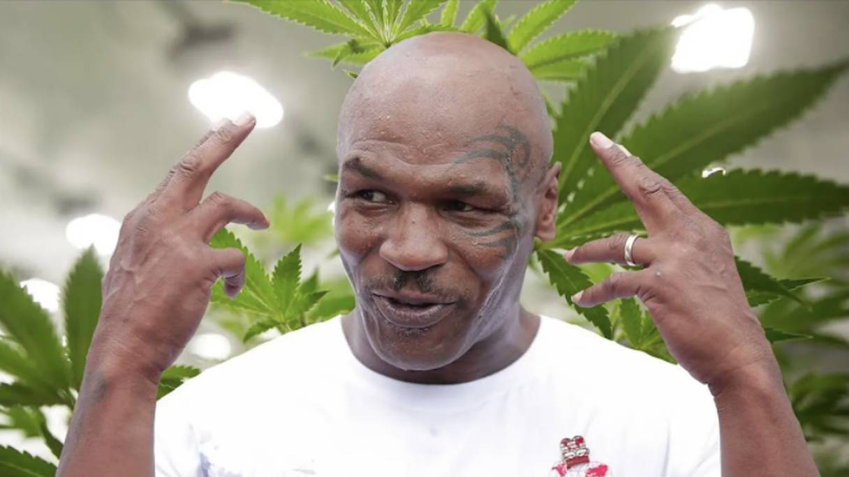 Mike Tyson, l'ancien poids lourd de la boxe reconverti dans la culture du cannabis.