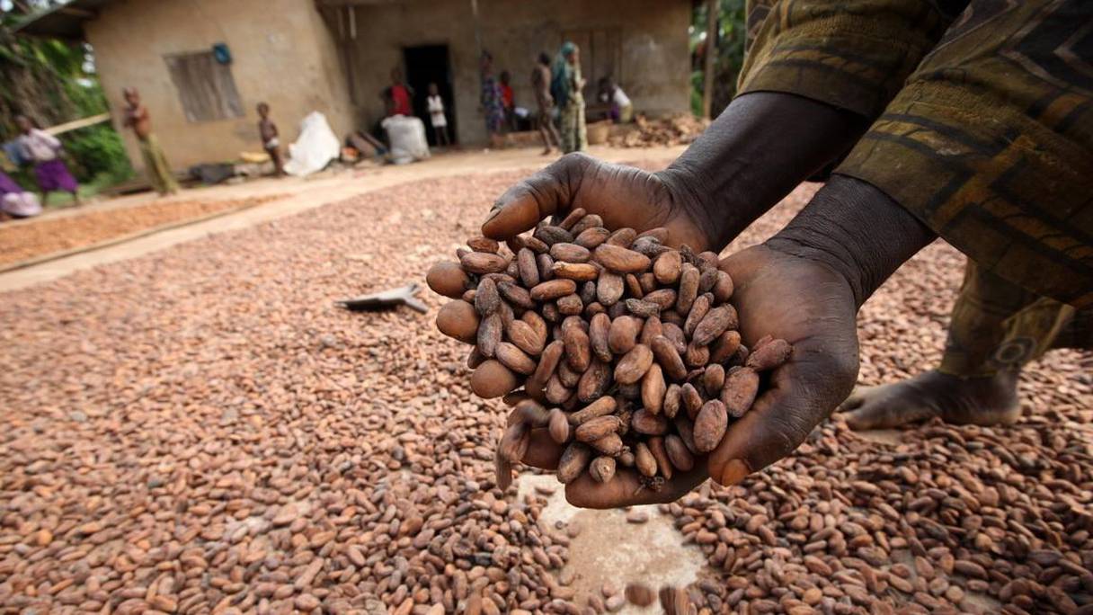 Toute l'économie africaine sera touchée par la crise, pas seulement le cacao.