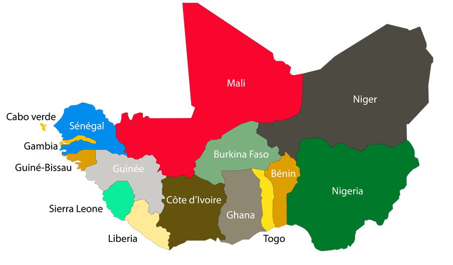 Burkina Faso, Niger, Mali doivent «reconsidérer» leur sortie de la Cedeao, dit un conseil de l’organisation
