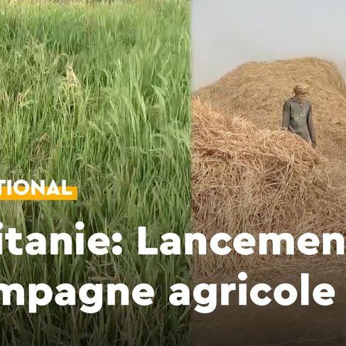 Vidéo. Mauritanie: le président Ghazouani lance officiellement la campagne agricole au Trarza