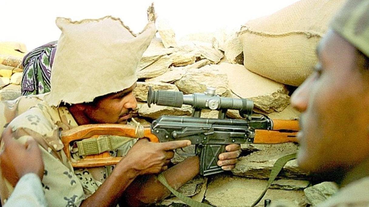 Des éléments de l'armée érythréenne. 