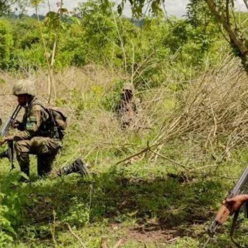 armée rwandaise