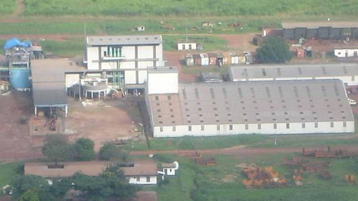 Vue aérienne de la Sucaf-Centrafrique, filiale de Castel.