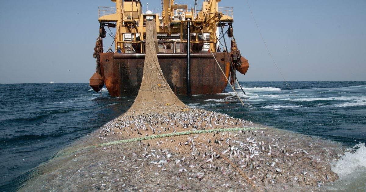 Southern African countries are building capacity to combat illegal fishing