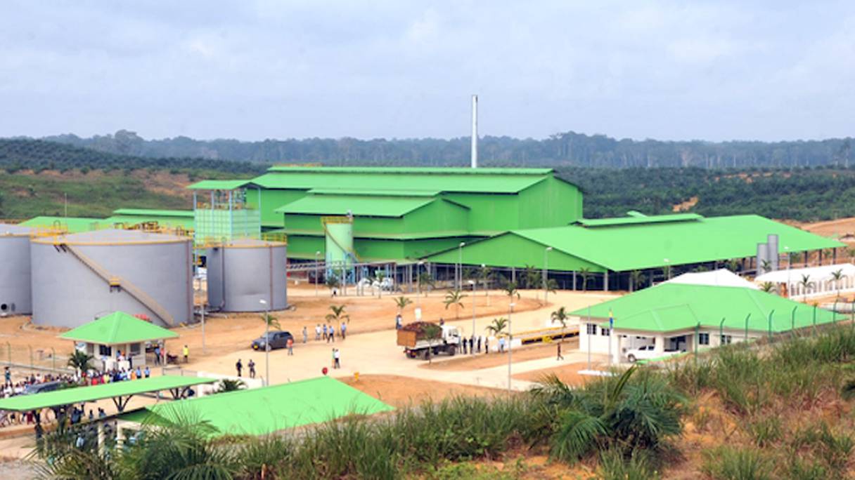 Une unité de production d'huile de palme d'Olam Gabon. 