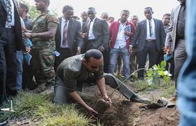 Abiy Ethiopie: lancement de l’opération «4 milliards d’arbres» à planter pour reverdir le pays