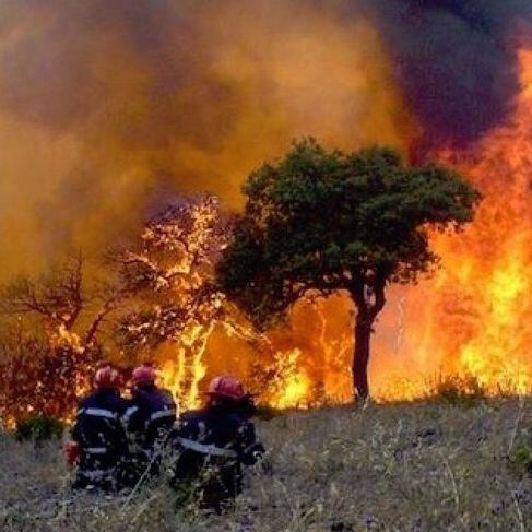 Incendies en Algérie