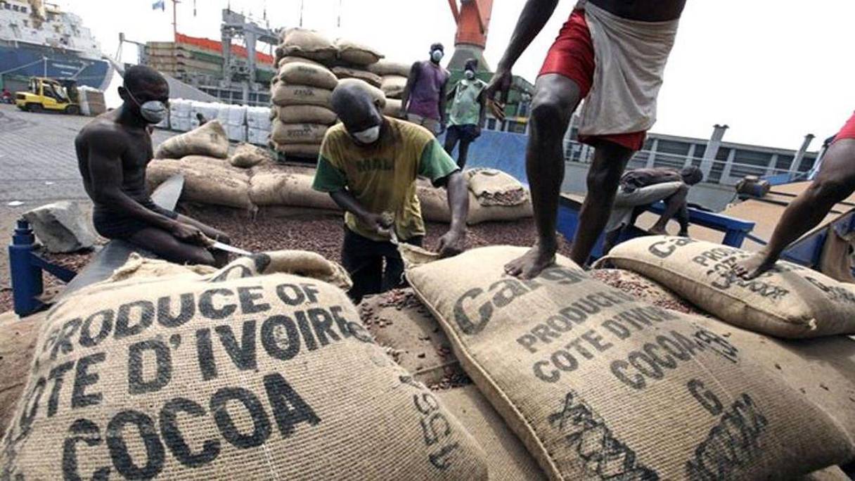 Exportation de cacao ivoirien.