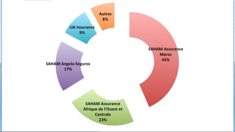 Saham Assurances Maroc représente 43% du chiffre d'affaires 2016 de Saham Finances. 