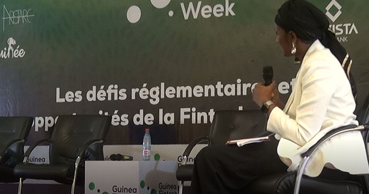 Guinea: legal vacuum hampers the development of Fintechs