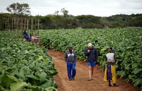 zimbabwe, fermiers blancs