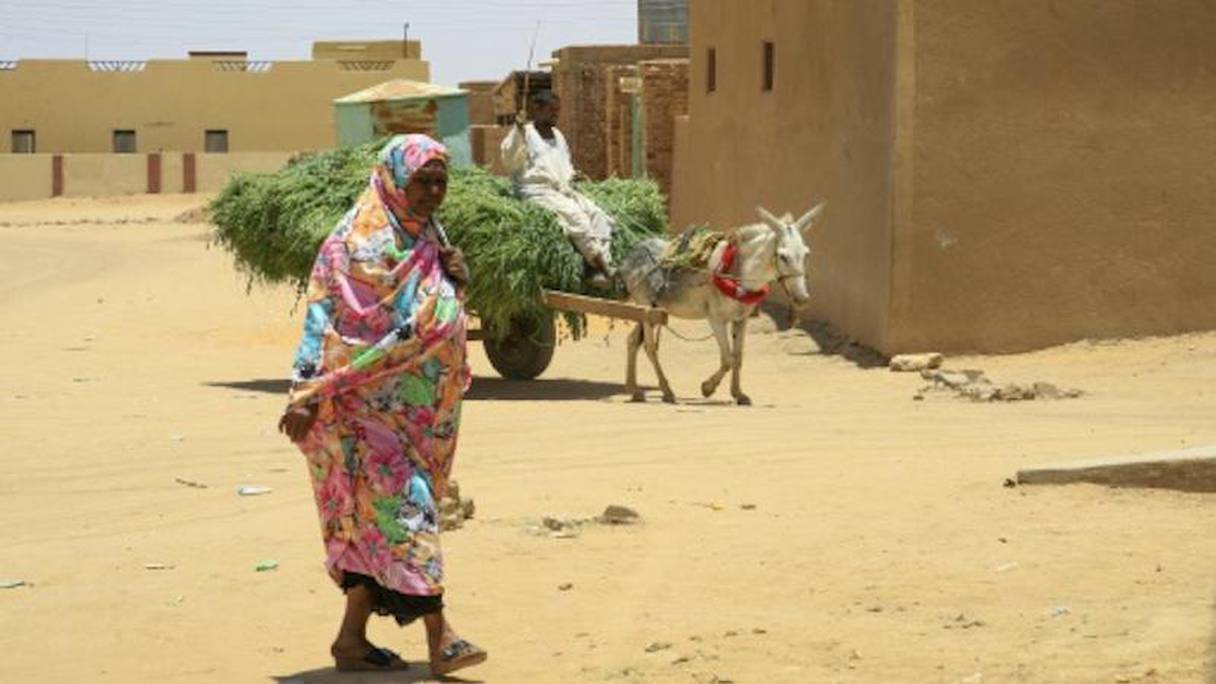 Une Soudanaise marche à Hosh Bannaga, le village natal du président déchu Omar al-Béchir, au nord de Khartoum, le 21 avril 2019 