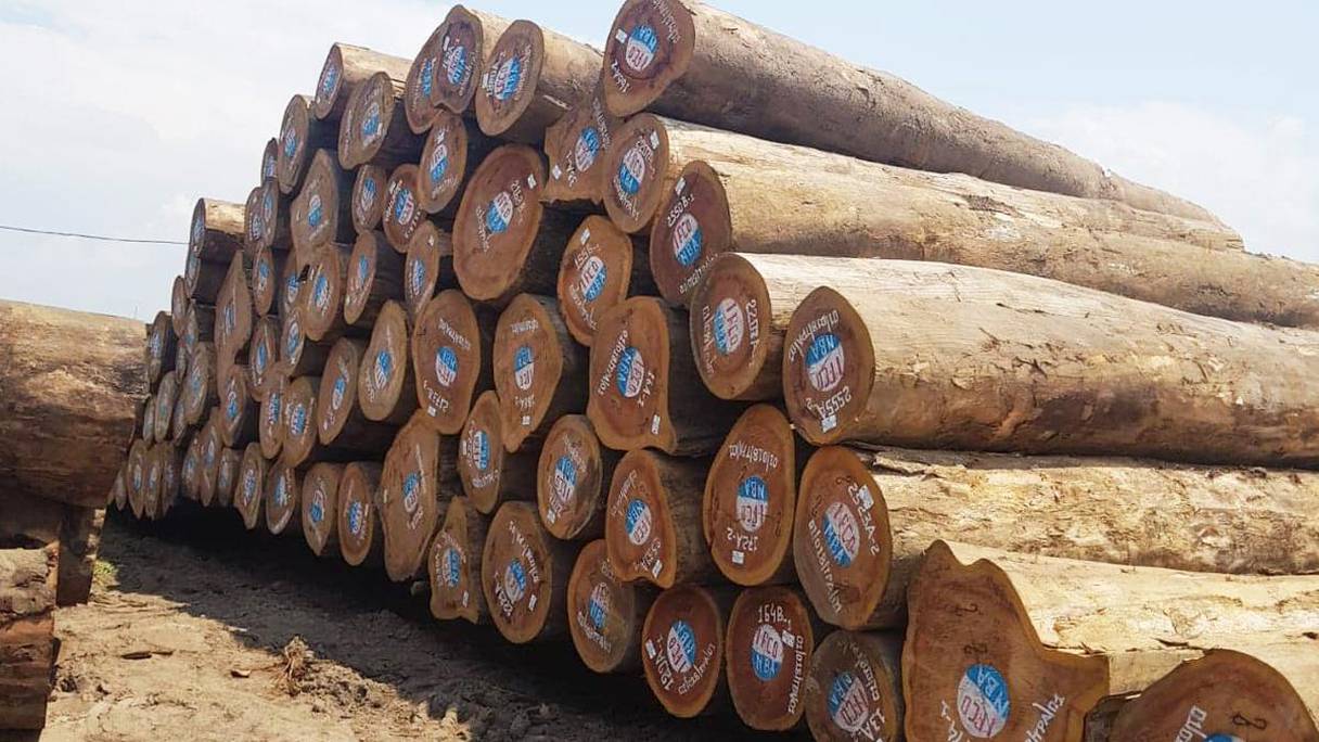 L'interdiction d'exporter le bois sous forme de grumes par les pays du Bassin du Congo va entrer en vigueur en janvier 20202. 