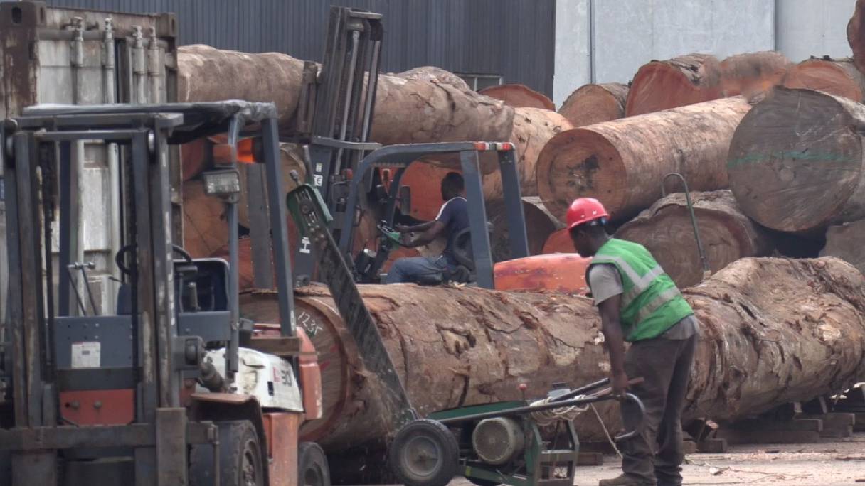 Transformation du bois dans la la Zone économique spéciale de Nkok