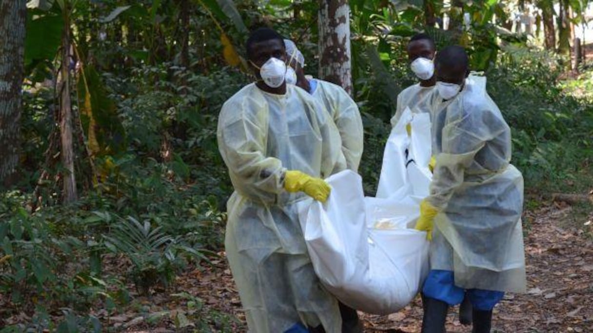 Le virus a causé la mort de plus 11.000 personnes depuis décembre 2013.