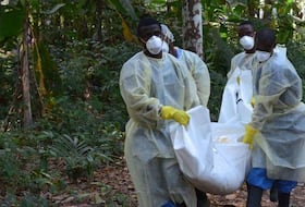 Le virus a causé la mort de plus 11.000 personnes depuis décembre 2013.