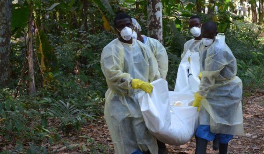 Le virus a causé la mort de plus 11.000 personnes depuis décembre 2013.