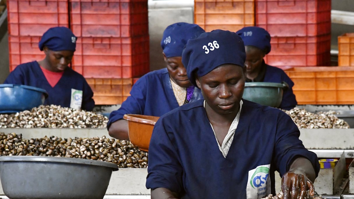Des ouvrières dans une unité de transformation de noix de cajou à Bouaké