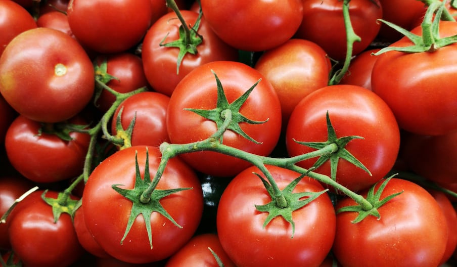 Tomates