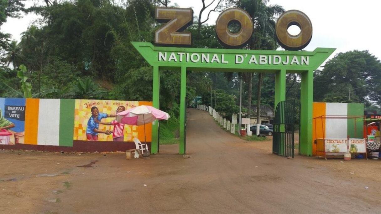 Les animaux du zoo seraient mal nourris.