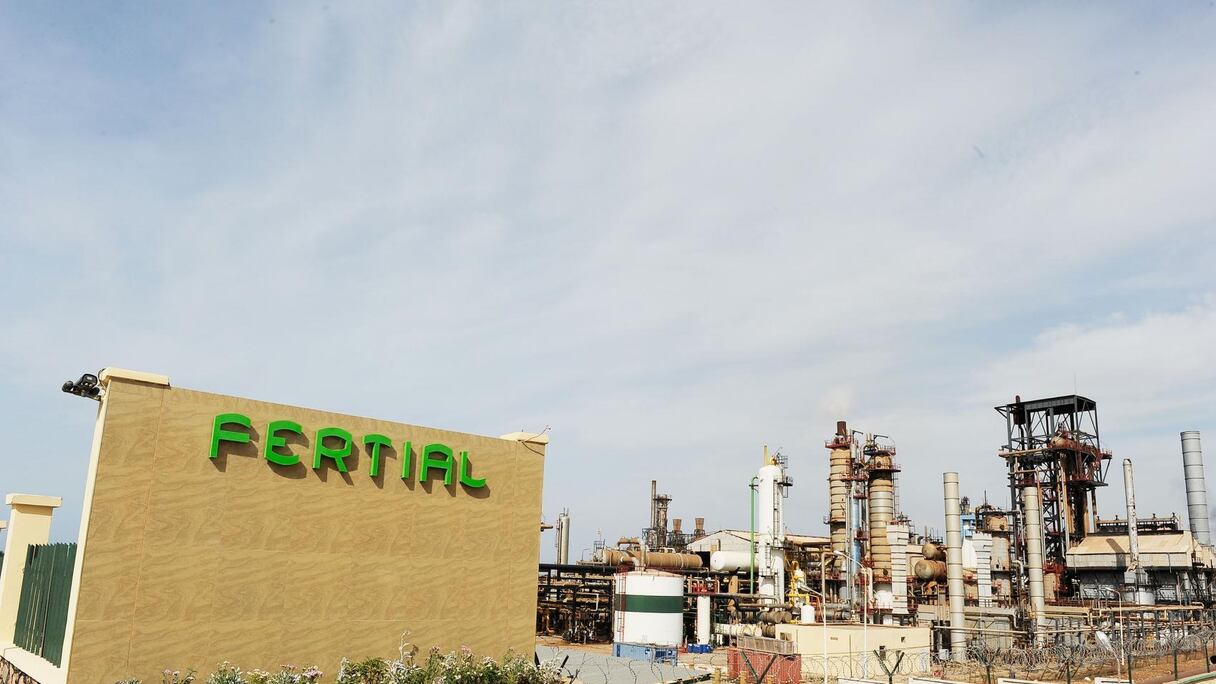 Pour la création de Fertial, sa filiale en Algérie, Fertiberia aurait versé 1,9 million de dollars de pots-de-vin à des officiers de l'Armée nationale populaire.