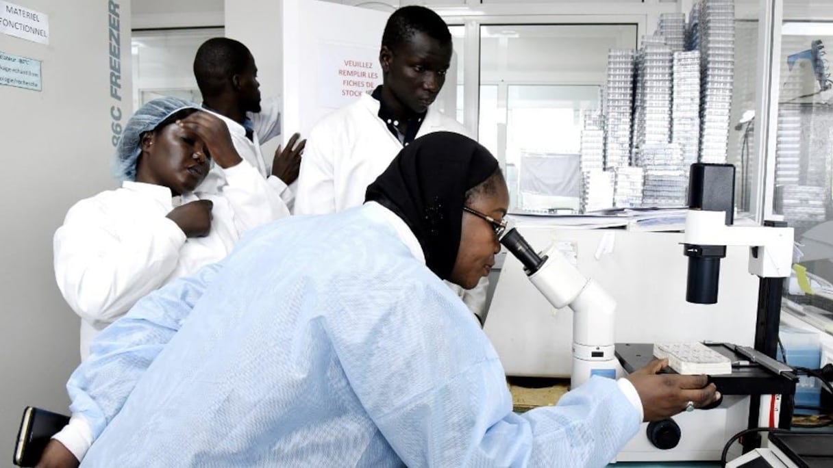 L'apparition d'autres maladies au Sénégal inquiète.