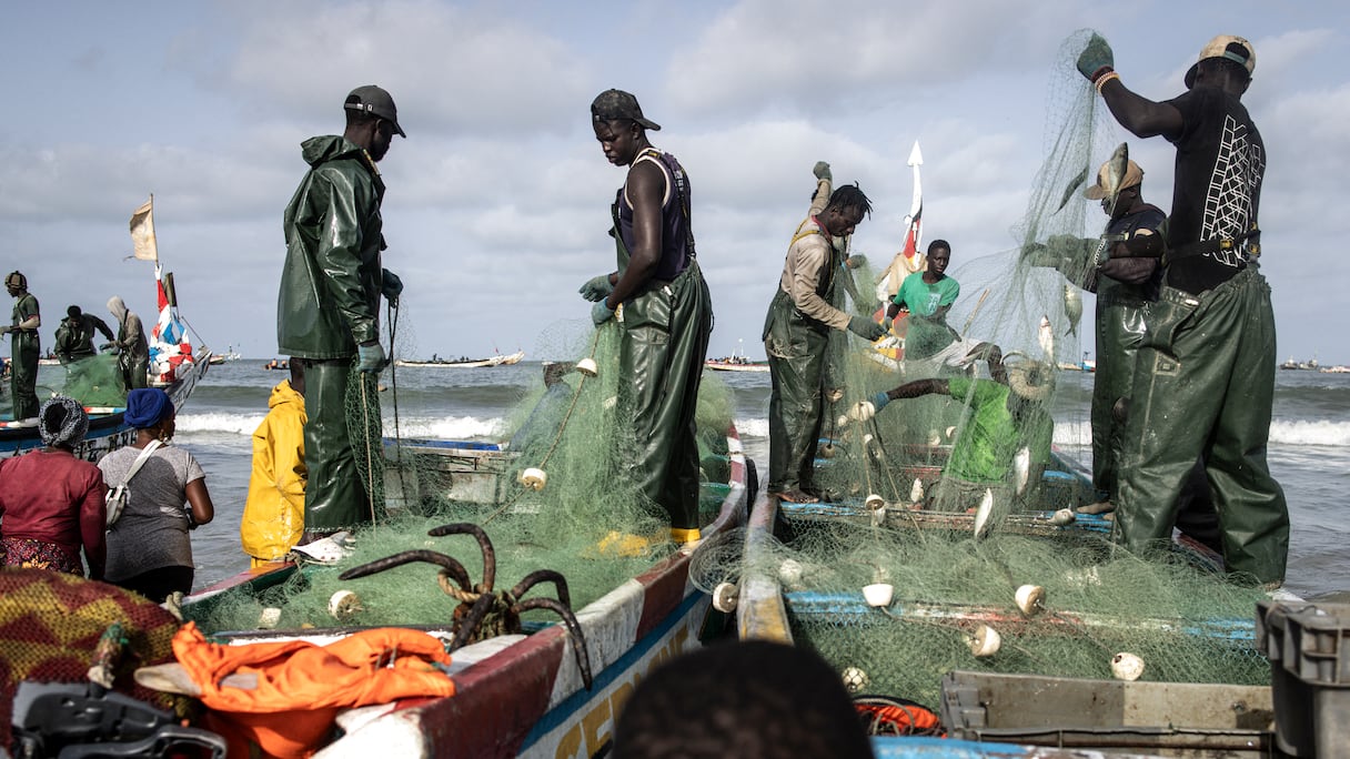 Des pêcheurs déchargent du poisson dans un port de pêche à Cap Skirring,  à l'extrémité sud-ouest du Sénégal