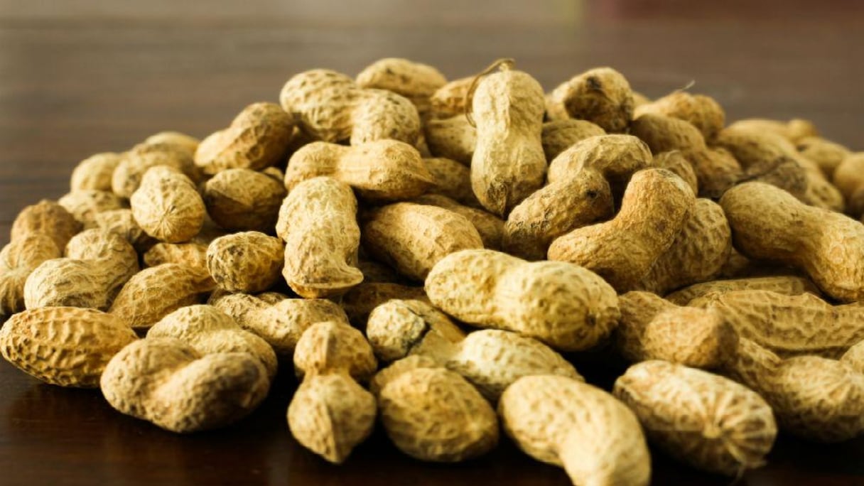 arachide du Sénégal