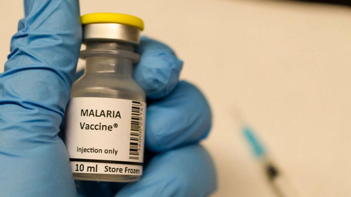 Flacon de vaccin anti-malaria ou antipaludique.