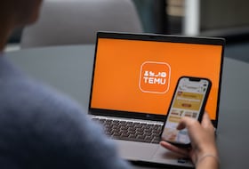 La plateforme de vente en ligne chinoise Temu.