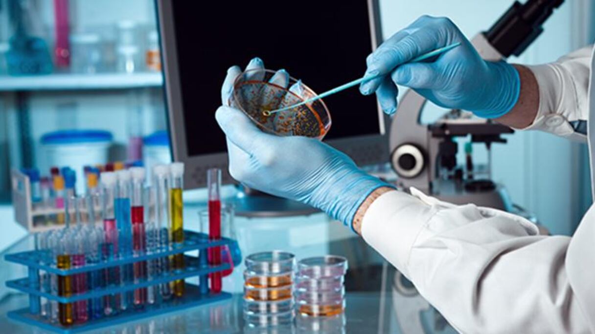 Laboratoire de recherche.