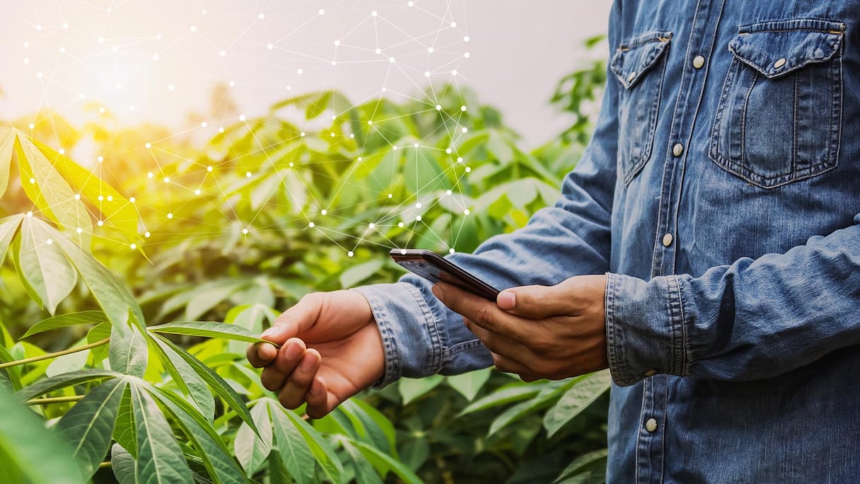 D’après Mohamed Anouar Jamali, PDG d’OCP Africa, cet accord va positivement impacter les petits exploitants.