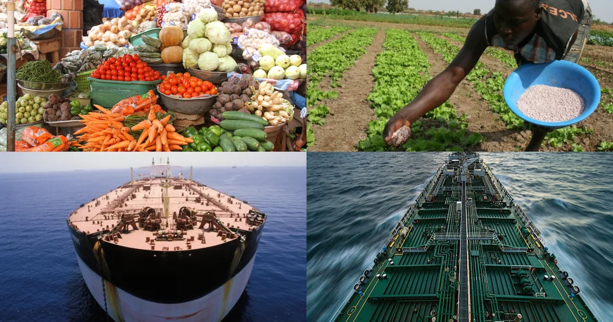 Crise d'Ormuz: l'Afrique face au spectre d'une pénurie d'engrais et d'un choc alimentaire | Le360 Afrique