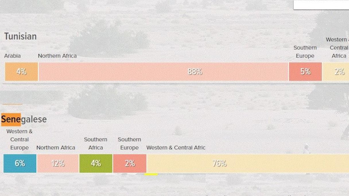 Génome humain: Les Tunisiens ne sont arabes qu'à 4% et les Sénégalais sont probablement berbère à 12%.