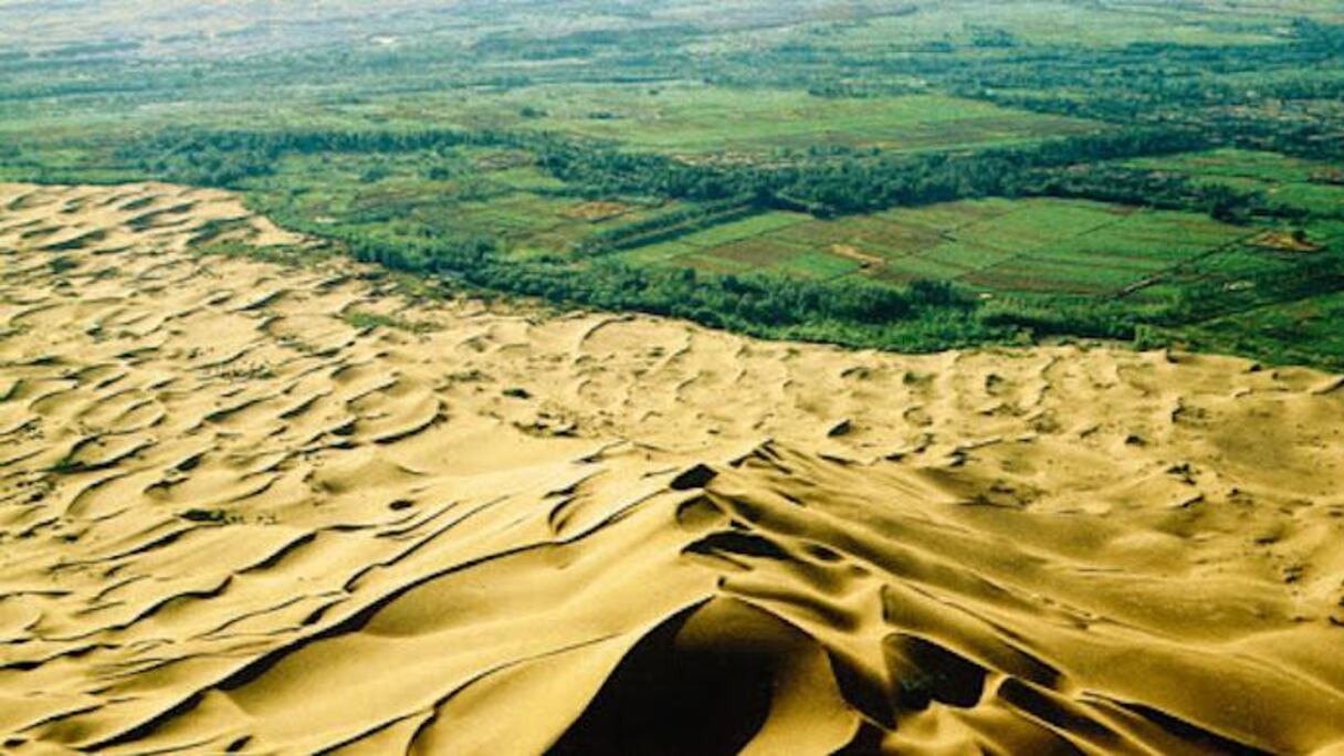 Une muraille verte pour stopper l'avancée du désert.