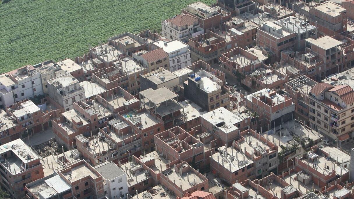 Terres agricoles grignotées par l'espace urbain à Alger pour enrichir des privilégiés et appauvrir les moins nantis