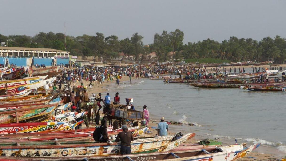 Les acteurs du secteur de la pêche de Saint-Louis demandent l'arrêt des importations du poisson mauritanien.