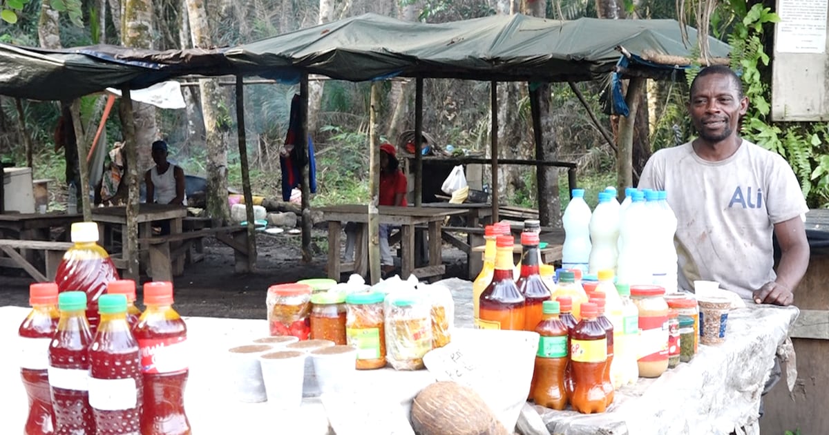 Cap Gabon Gabon: sous la canopée de Cap Estérias, une curiosité naturelle qui n’a ...