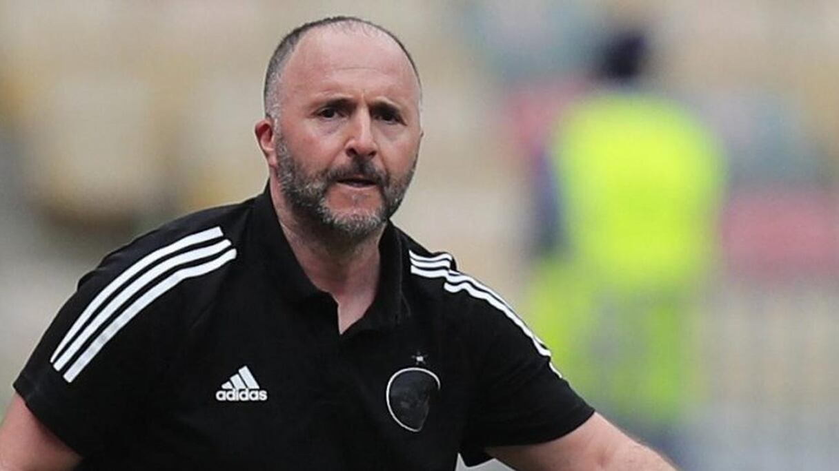 Djamel Belmadi, sélectionneur de l'Algérie.