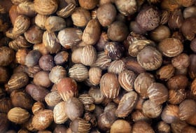 Des amende de karité du Burkina Faso.