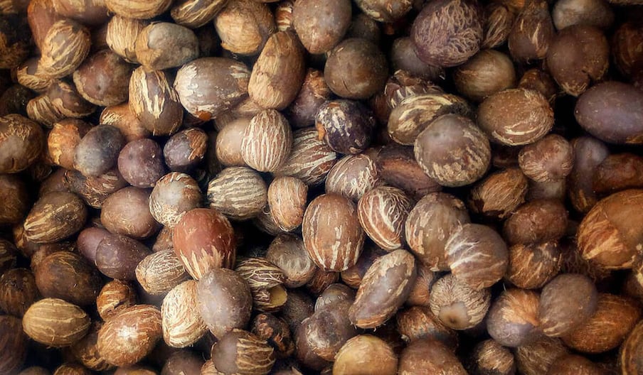 Des amende de karité du Burkina Faso.