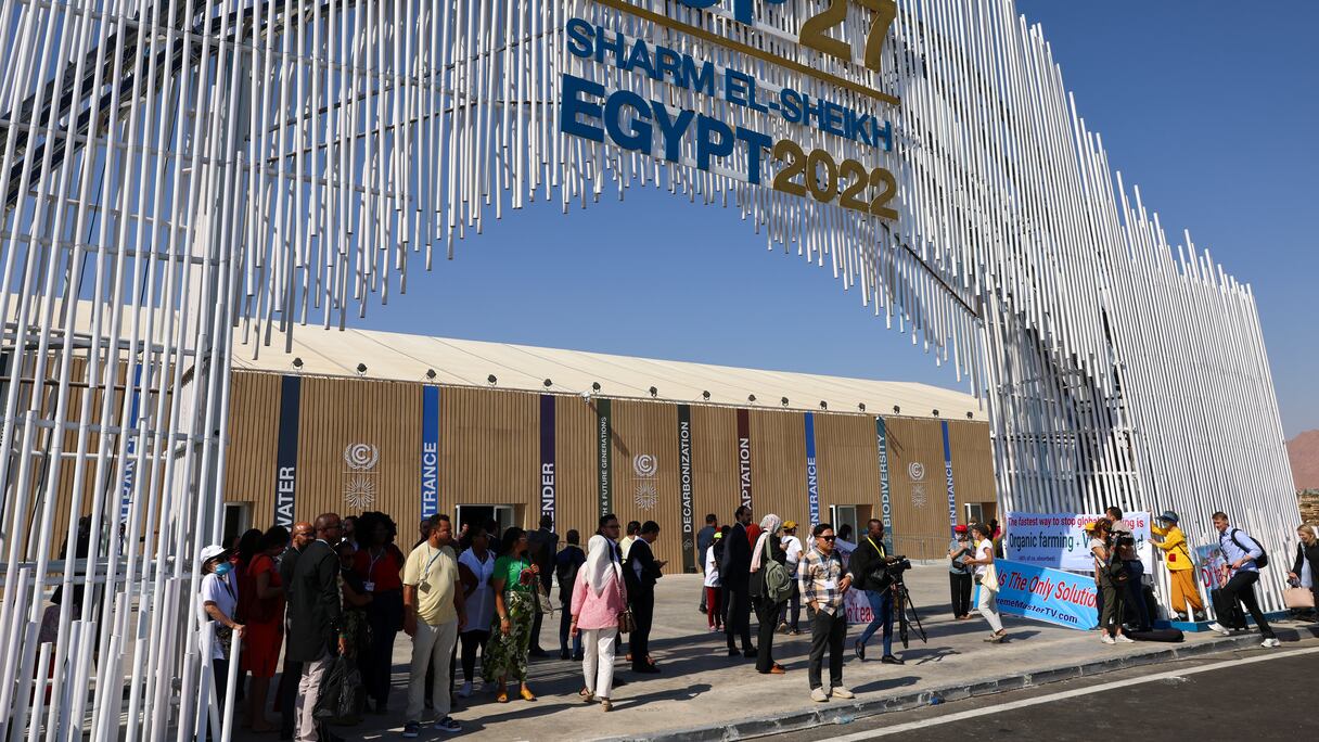 Des militants végétaliens manifestent à l'entrée du Centre de convention international de Sharm El Sheikh, dans la station balnéaire égyptienne du même nom, le 6 novembre 2022, lors de la Conférence des Nations Unies sur le changement climatique 2022, plus communément appelée COP27.
