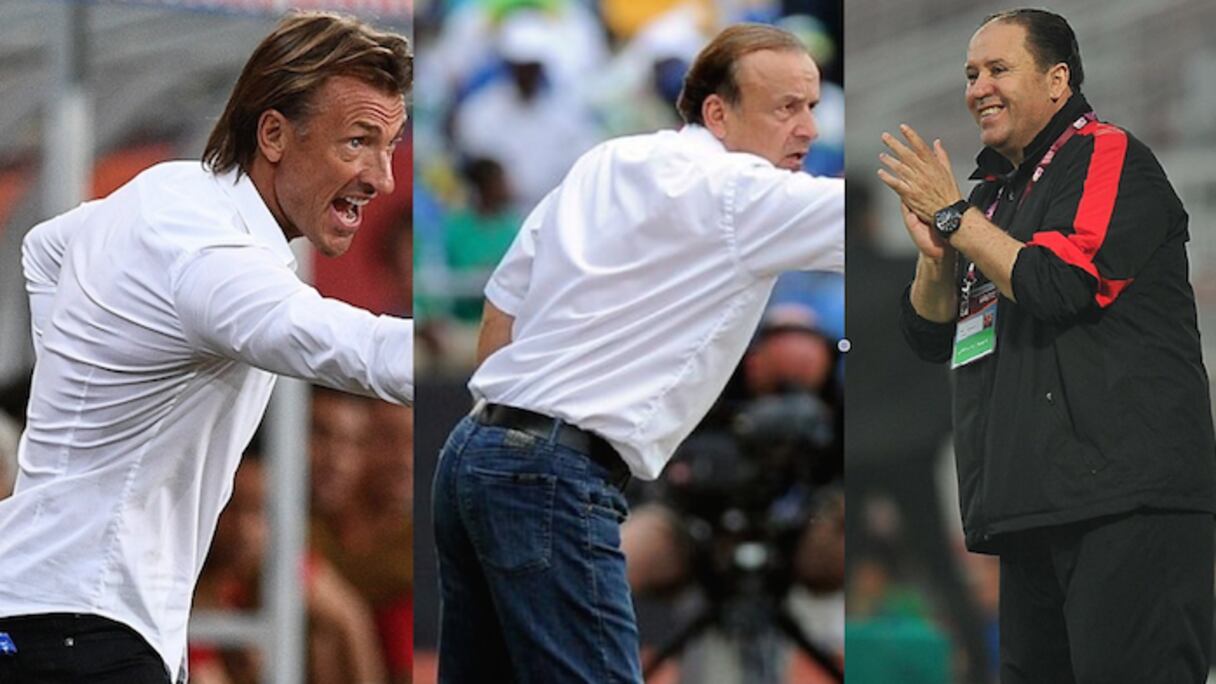 Hervé Renard (Maroc), Nabil Maaloul (Tunisie) et Rohr (Nigeria).