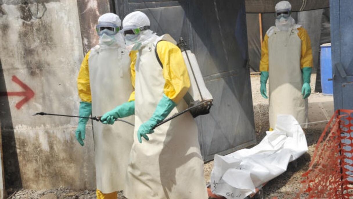 Le virus de Marburg a fait une première victime, en Guinée.