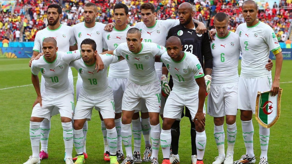 Les Fennecs d'Algérie.